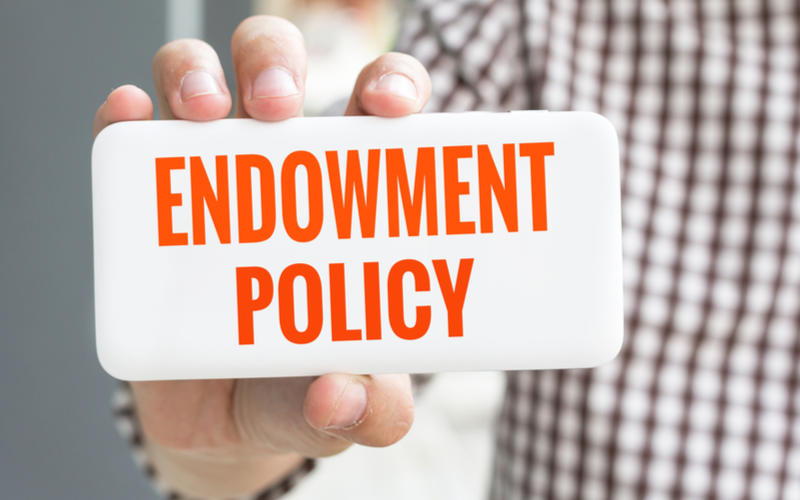 <strong></noscript>Is Endowment Plan A Good Choice For Low-Risk Investors?</strong>