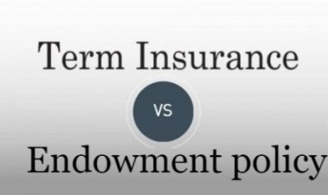 <strong></noscript>Endowment Vs Term Policy: Which Is A Better Investing Option?</strong>